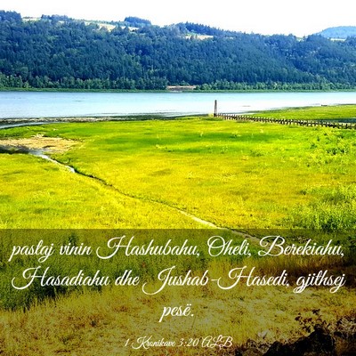 Picture 03 - 1 Kronikave 3:20 ALB - pastaj vinin Hashubahu, Oheli, Berekiahu, - Bible Verse Picture