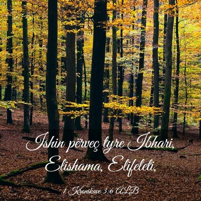Picture 03 - 1 Kronikave 3:6 ALB - Ishin përveç tyre Ibhari, Elishama, - Bible Verse Picture