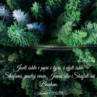 Picture 03 - 1 Kronikave 5:12 ALB - Joeli ishte i pari i tyre, i dyti ishte Shafami, - Bible Verse Picture