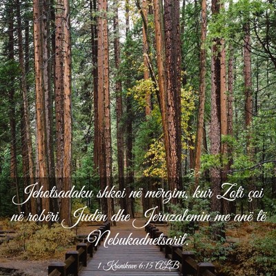 Picture 03 - 1 Kronikave 6:15 ALB - Jehotsadaku shkoi në mërgim, kur Zoti çoi në - Bible Verse Picture