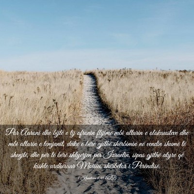 Picture 03 - 1 Kronikave 6:49 ALB - Por Aaroni dhe bijtë e tij ofronin flijime mbi - Bible Verse Picture