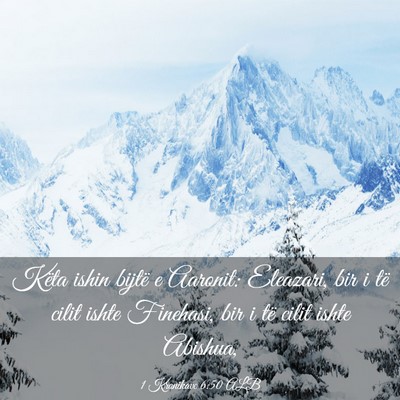 Picture 03 - 1 Kronikave 6:50 ALB - Këta ishin bijtë e Aaronit: Eleazari, bir i të - Bible Verse Picture