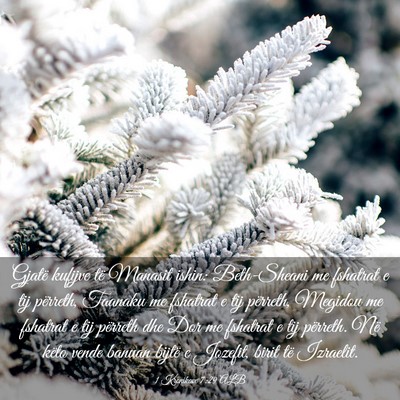 Picture 03 - 1 Kronikave 7:29 ALB - Gjatë kufijve të Manasit ishin: Beth-Sheani me - Bible Verse Picture