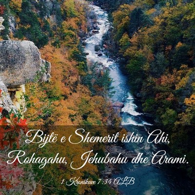 Picture 03 - 1 Kronikave 7:34 ALB - Bijtë e Shemerit ishin Ahi, Rohagahu, Jehubahu - Bible Verse Picture