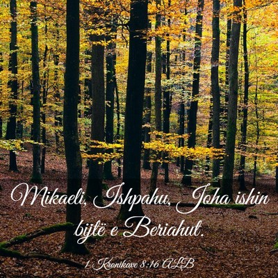 Picture 03 - 1 Kronikave 8:16 ALB - Mikaeli, Ishpahu, Joha ishin bijtë e - Bible Verse Picture
