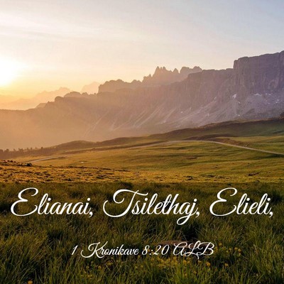 Picture 03 - 1 Kronikave 8:20 ALB - Elianai, Tsilethaj, - Bible Verse Picture