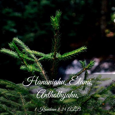 Picture 03 - 1 Kronikave 8:24 ALB - Hananiahu, Elami, - Bible Verse Picture