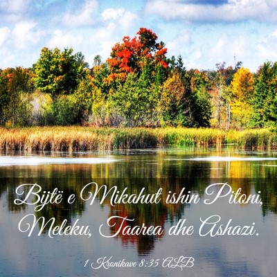Picture 03 - 1 Kronikave 8:35 ALB - Bijtë e Mikahut ishin Pitoni, Meleku, Taarea dhe - Bible Verse Picture
