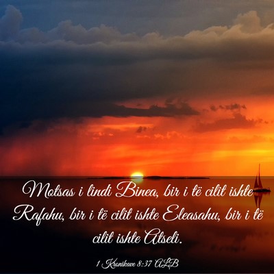 Picture 03 - 1 Kronikave 8:37 ALB - Motsas i lindi Binea, bir i të cilit ishte - Bible Verse Picture