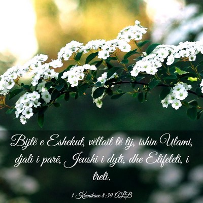 Picture 03 - 1 Kronikave 8:39 ALB - Bijtë e Eshekut, vëllait të tij, ishin Ulami, - Bible Verse Picture