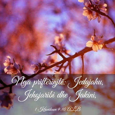 Picture 03 - 1 Kronikave 9:10 ALB - Nga priftërinjtë: Jedajahu, Jehojaribi dhe - Bible Verse Picture