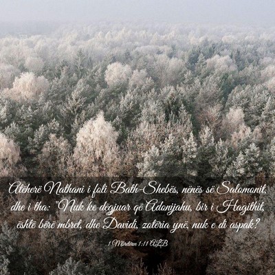 Picture 03 - 1 Mbretërve 1:11 ALB - Atëherë Nathani i foli Bath-Shebës, nënës - Bible Verse Picture