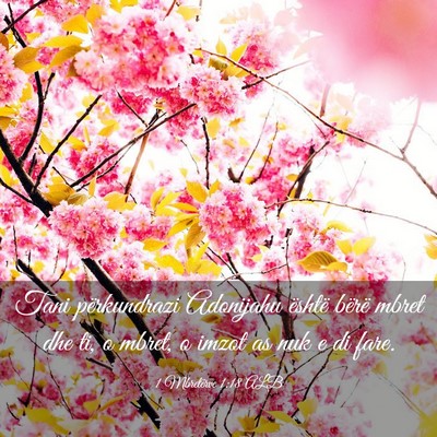 Picture 03 - 1 Mbretërve 1:18 ALB - Tani përkundrazi Adonijahu është bërë mbret - Bible Verse Picture