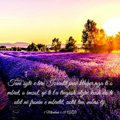 Picture 03 - 1 Mbretërve 1:20 ALB - Tani sytë e tërë Izraelit janë kthyer nga ti - Bible Verse Picture