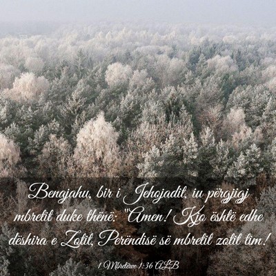 Picture 03 - 1 Mbretërve 1:36 ALB - Benajahu, bir i Jehojadit, iu përgjigj mbretit - Bible Verse Picture