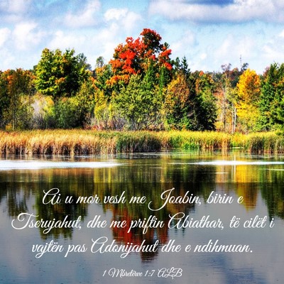 Picture 03 - 1 Mbretërve 1:7 ALB - Ai u mor vesh me Joabin, birin e Tserujahut, dhe - Bible Verse Picture