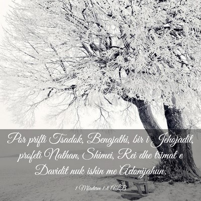 Picture 03 - 1 Mbretërve 1:8 ALB - Por prifti Tsadok, Benajathi, bir i Jehojadit, - Bible Verse Picture