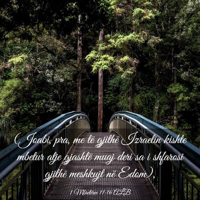 Picture 03 - 1 Mbretërve 11:16 ALB - (Joabi, pra, me të gjithë Izraelin kishte - Bible Verse Picture