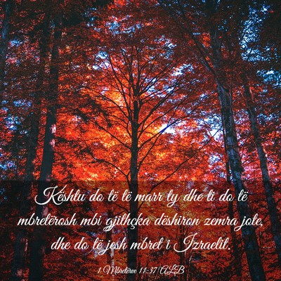 Picture 03 - 1 Mbretërve 11:37 ALB - Kështu do të të marr ty dhe ti do të - Bible Verse Picture
