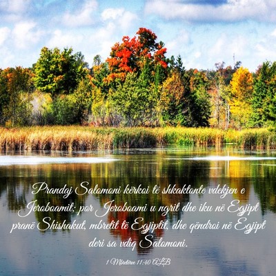 Picture 03 - 1 Mbretërve 11:40 ALB - Prandaj Salomoni kërkoi të shkaktonte vdekjen e - Bible Verse Picture