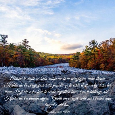 Picture 03 - 1 Mbretërve 12:10 ALB - Atëherë të rinjtë që ishin rritur me të iu - Bible Verse Picture