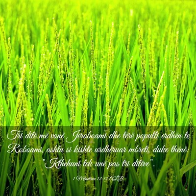 Picture 03 - 1 Mbretërve 12:12 ALB - Tri ditë më vonë Jeroboami dhe tërë populli - Bible Verse Picture