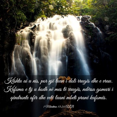 Picture 03 - 1 Mbretërve 13:24 ALB - Kështu ai u nis, por një luan i doli rrugës - Bible Verse Picture