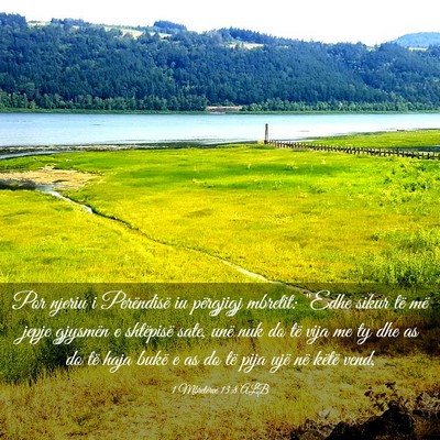 Picture 03 - 1 Mbretërve 13:8 ALB - Por njeriu i Perëndisë iu përgjigj mbretit: - Bible Verse Picture
