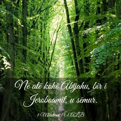 Picture 03 - 1 Mbretërve 14:1 ALB - Në atë kohë Abijahu, bir i Jeroboamit, u - Bible Verse Picture