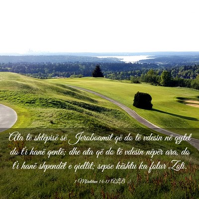 Picture 03 - 1 Mbretërve 14:11 ALB - Ata të shtëpisë së Jeroboamit që do të - Bible Verse Picture
