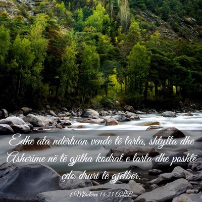 Picture 03 - 1 Mbretërve 14:23 ALB - Edhe ata ndërtuan vende të larta, shtylla dhe - Bible Verse Picture