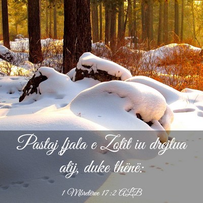 Picture 03 - 1 Mbretërve 17:2 ALB - Pastaj fjala e Zotit iu drejtua atij, duke - Bible Verse Picture
