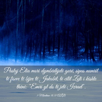 Picture 03 - 1 Mbretërve 18:31 ALB - Pastaj Elia mori dymbëdhjetë gurë, sipas - Bible Verse Picture