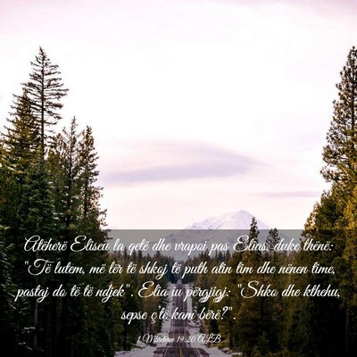 Picture 03 - 1 Mbretërve 19:20 ALB - Atëherë Eliseu la qetë dhe vrapoi pas Elias, - Bible Verse Picture