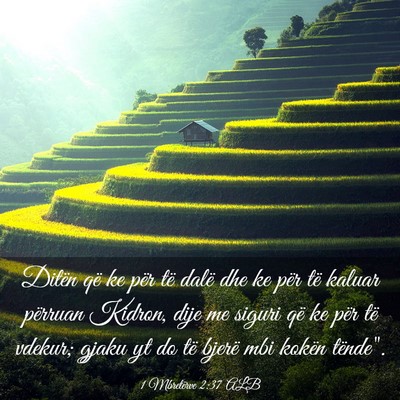 Picture 03 - 1 Mbretërve 2:37 ALB - Ditën që ke për të dalë dhe ke për të - Bible Verse Picture