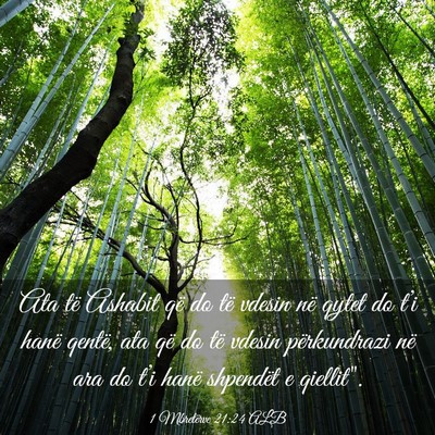 Picture 03 - 1 Mbretërve 21:24 ALB - Ata të Ashabit që do të vdesin në qytet do - Bible Verse Picture