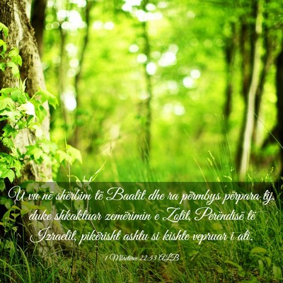 Picture 03 - 1 Mbretërve 22:53 ALB - U vu në shërbim të Baalit dhe ra përmbys - Bible Verse Picture