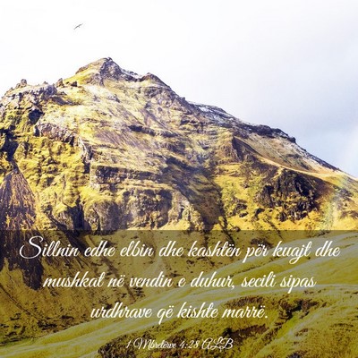 Picture 03 - 1 Mbretërve 4:28 ALB - Sillnin edhe elbin dhe kashtën për kuajt dhe - Bible Verse Picture