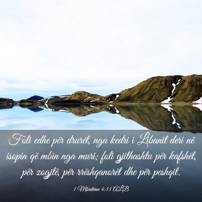 Picture 03 - 1 Mbretërve 4:33 ALB - Foli edhe për drurët, nga kedri i Libanit deri - Bible Verse Picture
