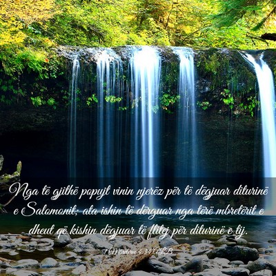 Picture 03 - 1 Mbretërve 4:34 ALB - Nga të gjithë popujt vinin njerëz për të - Bible Verse Picture
