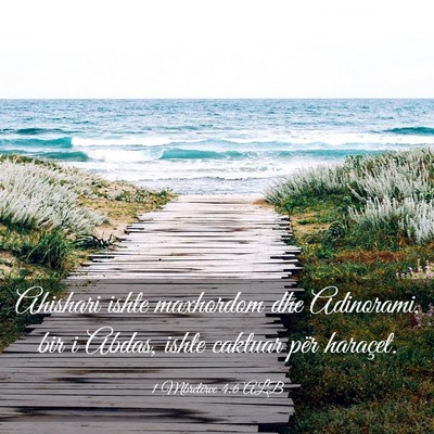 Picture 03 - 1 Mbretërve 4:6 ALB - Ahishari ishte maxhordom dhe Adinorami, bir i - Bible Verse Picture