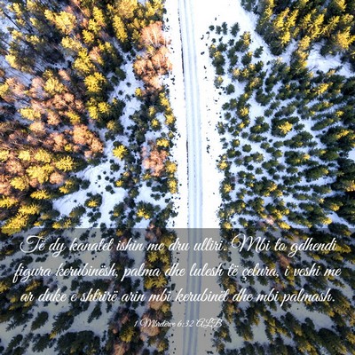Picture 03 - 1 Mbretërve 6:32 ALB - Të dy kanatet ishin me dru ulliri. Mbi to - Bible Verse Picture