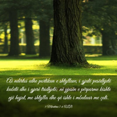 Picture 03 - 1 Mbretërve 7:6 ALB - Ai ndërtoi edhe portikun e shtyllave, i gjatë - Bible Verse Picture