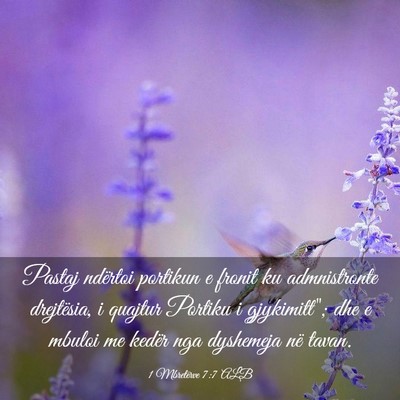 Picture 03 - 1 Mbretërve 7:7 ALB - Pastaj ndërtoi portikun e fronit ku admnistronte - Bible Verse Picture