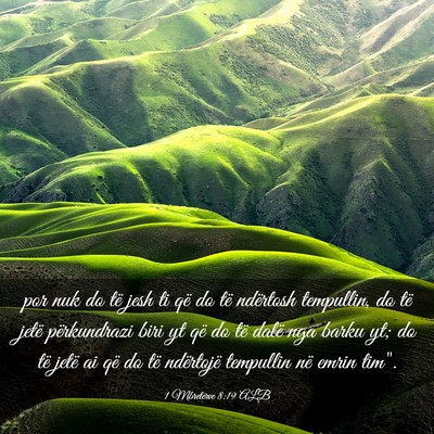 Picture 03 - 1 Mbretërve 8:19 ALB - por nuk do të jesh ti që do të ndërtosh - Bible Verse Picture