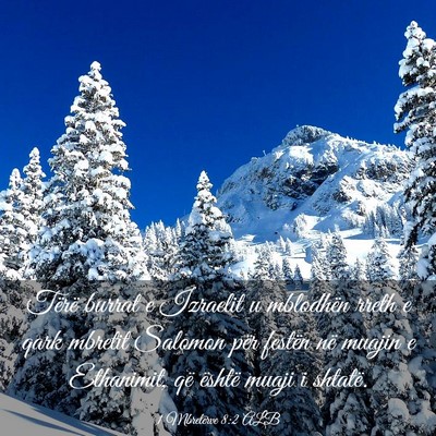 Picture 03 - 1 Mbretërve 8:2 ALB - Tërë burrat e Izraelit u mblodhën rreth e qark - Bible Verse Picture