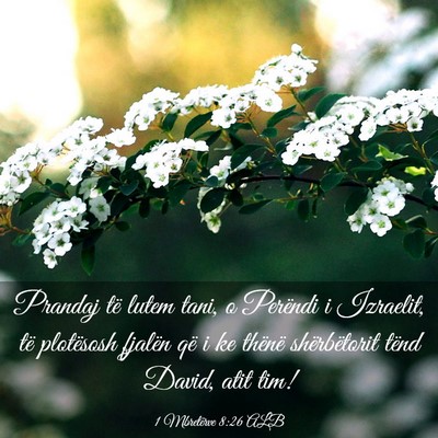 Picture 03 - 1 Mbretërve 8:26 ALB - Prandaj të lutem tani, o Perëndi i Izraelit, - Bible Verse Picture
