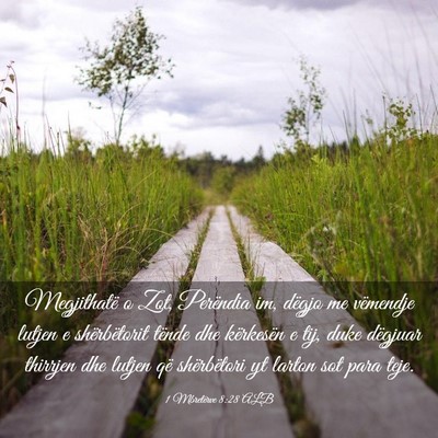 Picture 03 - 1 Mbretërve 8:28 ALB - Megjithatë o Zot, Perëndia im, dëgjo me - Bible Verse Picture