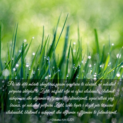 Picture 03 - 1 Mbretërve 8:64 ALB - Po atë ditë mbreti shenjtëroi pjesën qendrore - Bible Verse Picture