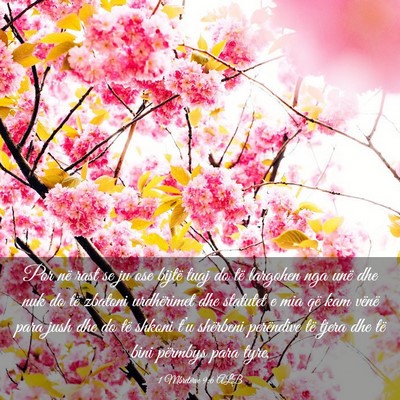 Picture 03 - 1 Mbretërve 9:6 ALB - Por në rast se ju ose bijtë tuaj do të - Bible Verse Picture